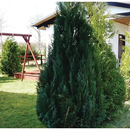 Ferienhaus One-bedroom Holiday In Sławno